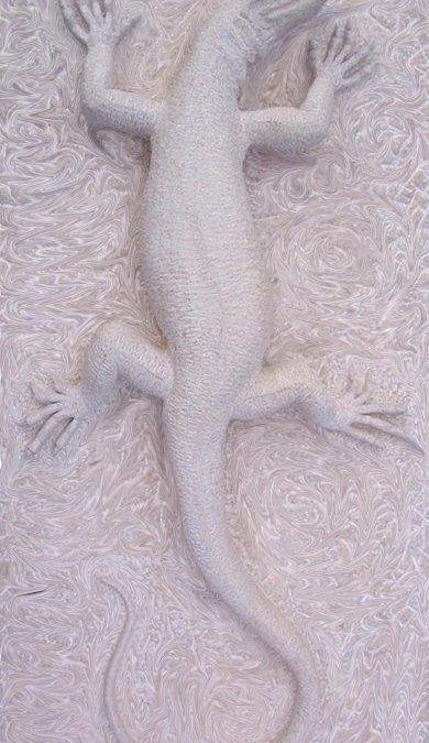goanna finished